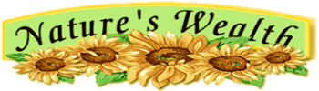 Vitamins, Minerals, Herbs, Nutrition SupplementsNature's Wealth Vitamins Health Food Store